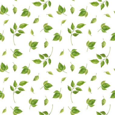 Rose leaves seamless pattern. Floral background in vintage style. Watercolor clipart.