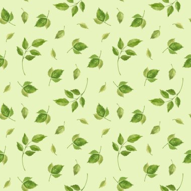 Rose kusursuz bir iz bırakıyor. Yeşil arka planda çiçek unsurları, eski tarz. Suluboya Clipart.