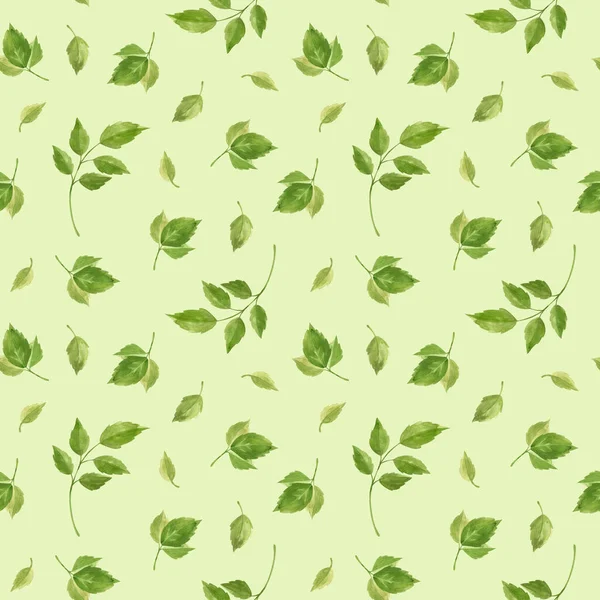 Rose kusursuz bir iz bırakıyor. Yeşil arka planda çiçek unsurları, eski tarz. Suluboya Clipart.