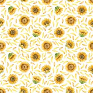 Ayçiçekleri kusursuz desen. Beyaz arkaplanda suluboya klibiName