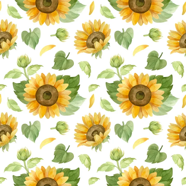 Sunflowers Seamless Pattern Watercolor Clipart — Stock Photo, Image