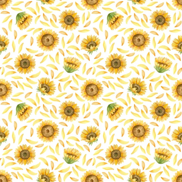 Tournesols Motif Sans Couture Clipart Aquarelle Sur Fond Blanc — Photo