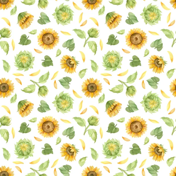 Tournesols Motif Sans Couture Clipart Aquarelle — Photo