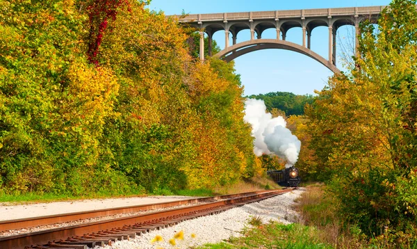 遠い蒸気鉄道 — ストック写真