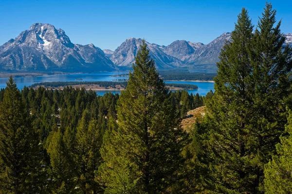 Cordillera Grand Teton Con Moran Izquierda Eleva Bruscamente Por Encima — Foto de Stock