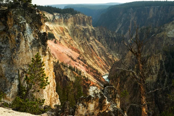 Yellowstone Canyon Flussabwärts Von Lower Falls Vom Nordrand Der Nähe — Stockfoto