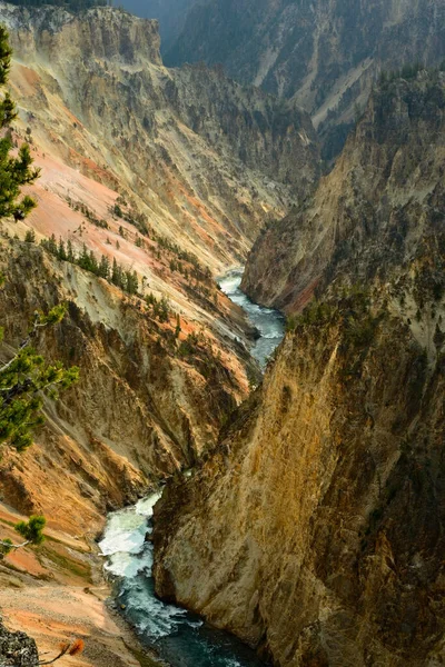 Río Yellowstone Atraviesa Cañón Yellowstone Aguas Abajo Lower Falls Visto — Foto de Stock