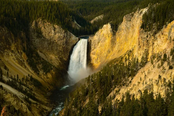 Lower Falls Yellowstone River Yellowstone National Park Seen Lookout Point — Stock Photo, Image