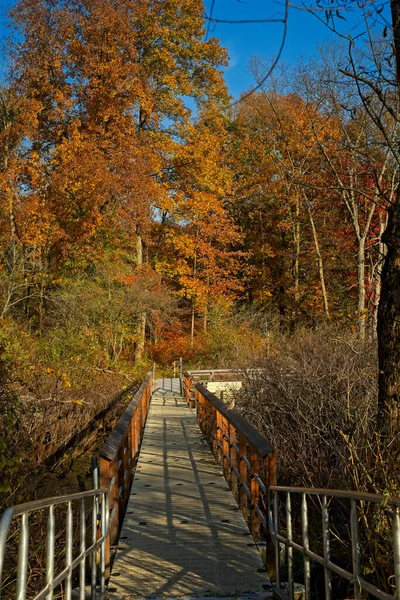 Een Drijvende Promenade Gaat Een Klein Herfst Wetland Een Ohio — Stockfoto