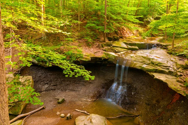 Cascate di galline blu larghe — Foto Stock