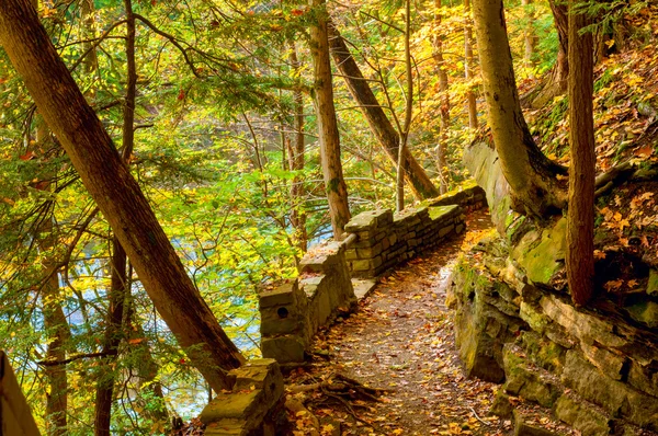 Ancien sentier fluvial — Photo