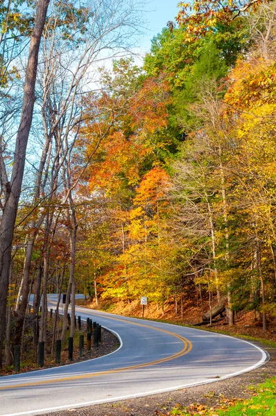 カーブの多い秋の道路 — ストック写真