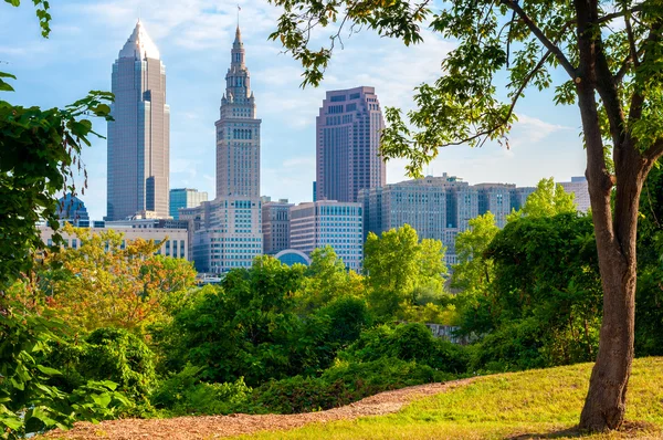 Tree-framed Cleveland — стокове фото