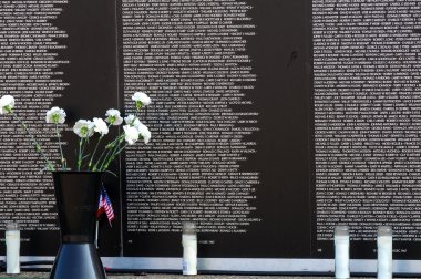 Vietnam wall panels