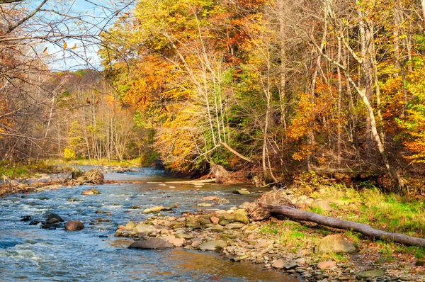 Meandering autumn creek — 스톡 사진