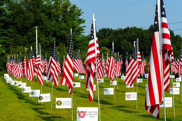 Field of flags — Stock Photo, Image