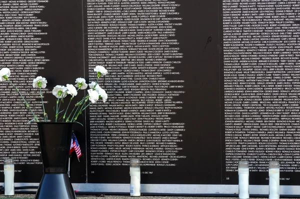 Vietnam wall panels Ліцензійні Стокові Зображення