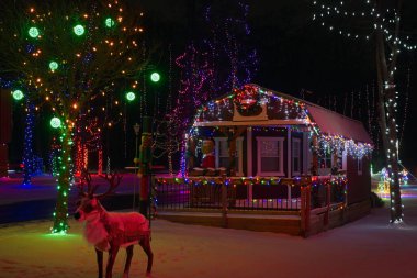 Kırmızı ışıkta yıkanmış bir ren geyiği abartılı bir Noel ışıklandırma gösterisi için küçük bir şehir parkı kulübesinin önünde duruyor..