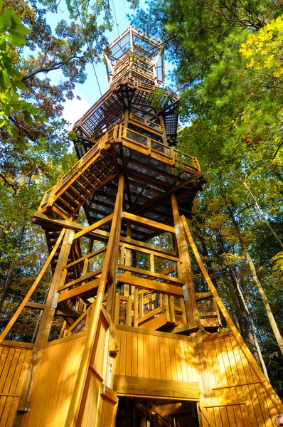 Forest opkomende toren — Stockfoto