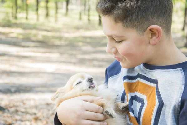 Verão Floresta Menino Feliz Segura Pequeno Cachorro Vermelho Seus Braços — Fotografia de Stock