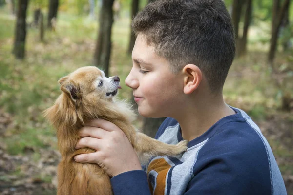 Verão Floresta Menino Feliz Segura Pequeno Cachorro Vermelho Seus Braços — Fotografia de Stock