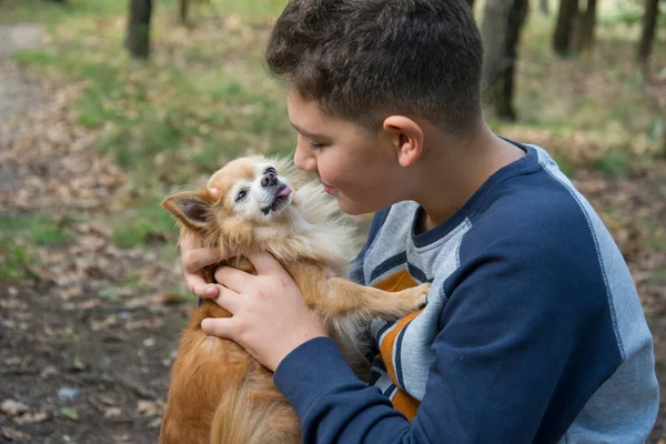 Verão Floresta Menino Feliz Segura Pequeno Cachorro Vermelho Seus Braços — Fotografia de Stock