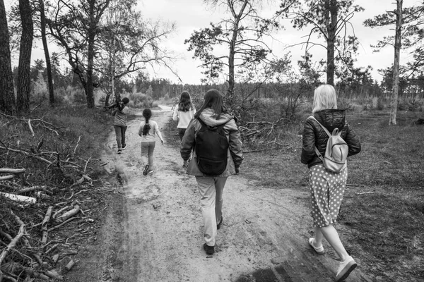 Mensen Wandelen Het Bos Zomer Zwart Wit Foto — Stockfoto