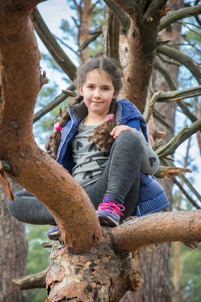 Tarde Verão Uma Menina Senta Pinheiro Floresta — Fotografia de Stock