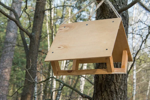 Maison Oiseaux Bois Dans Forêt Automne Vieille Mangeoire Bois Pour — Photo