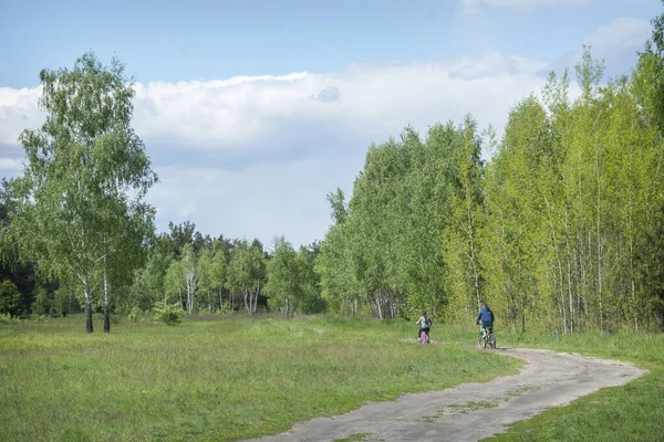 Été Par Une Journée Ensoleillée Frère Sœur Font Vélo Dans — Photo