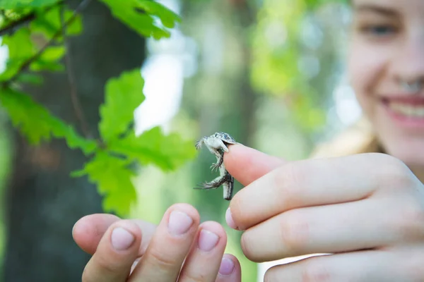 Sommer Beißt Sich Die Eidechse Einem Sonnigen Tag Den Finger — Stockfoto