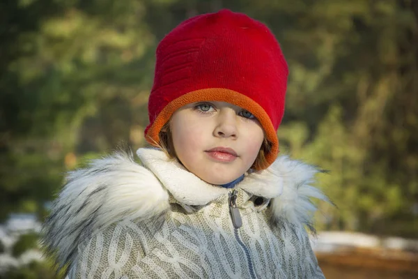 Маленька Дівчинка Червоному Капелюсі Стоїть Лісі Взимку Яскравий Сонячний День — стокове фото