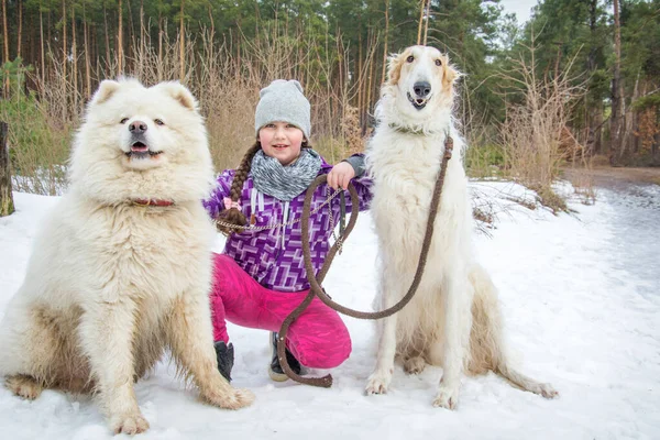 Winter Forest Bright Day Girl Hugs Russian Greyhound Samoyed Plays — Stockfoto