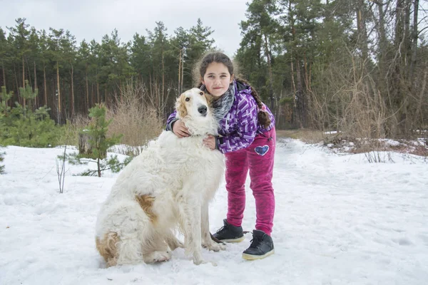 Floresta Inverno Dia Ensolarado Brilhante Uma Menina Abraça Cão Galgo — Fotografia de Stock