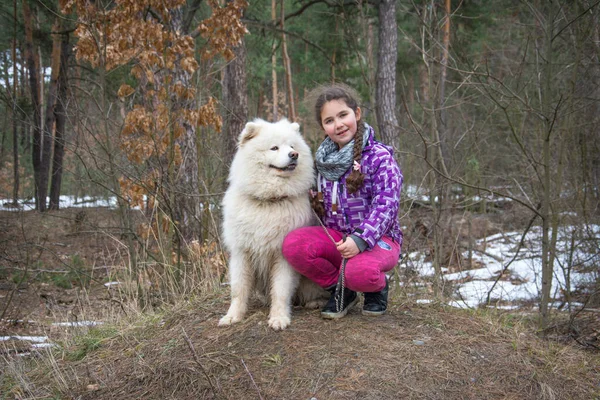 Inverno Tarde Neve Floresta Uma Menina Brinca Com Cão Samoyed — Fotografia de Stock