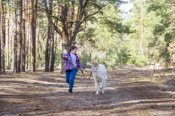 Spring Forest Bright Sunny Day Girl Hugs Russian Greyhound Dog — Foto Stock