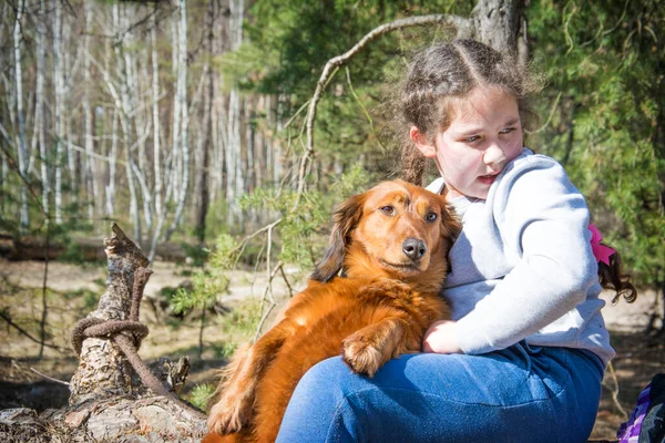 阳光灿烂的一天 一个带着生姜狗的女孩坐在森林的一根圆木上 — 图库照片