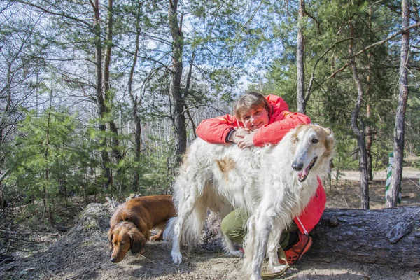 Spring Forest Bright Sunny Day Girl Hugs Russian Greyhound Dog — Stockfoto