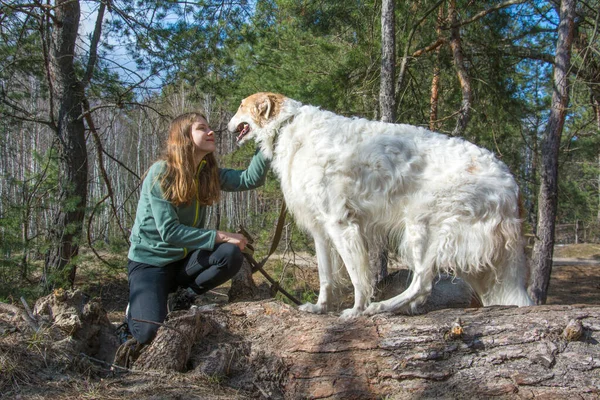 Spring Forest Bright Sunny Day Girl Hugs Russian Greyhound Dog — Fotografia de Stock