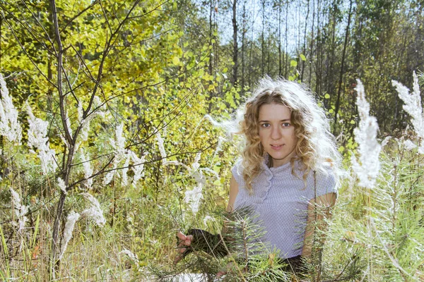 Im herbstlichen Wald auf einer Lichtung lockiges Mädchen im hohen Gras im — Stockfoto