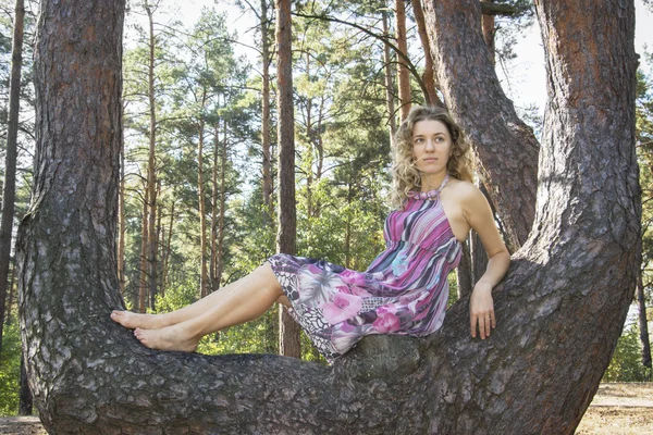 Zonnige dag in de herfst bos meisje, zittend op een naaldboom. — Stockfoto