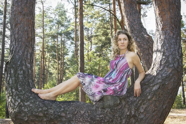 Bright sunny day in autumn forest girl sitting on a pine tree. — Stock Photo, Image