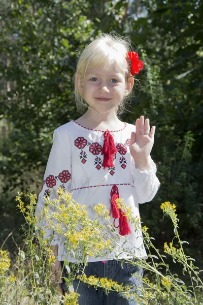 Hello! The little blue-eyed blonde standing in embroidery in the — Stock Photo, Image