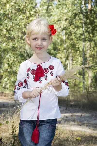 The little blue-eyed blonde standing in embroidery in the woods — Stock Photo, Image