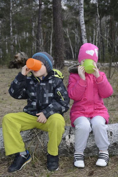 春小丸太の上に座っている森の中で子供を飲むテ — ストック写真