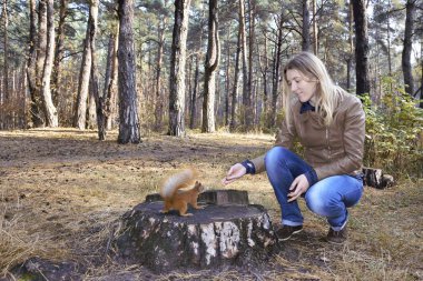 In the woods near the stump girl feeds a squirrel with nuts. clipart