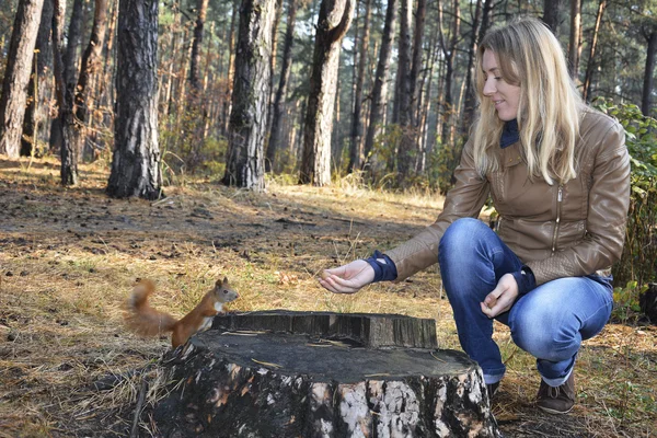 I skogen nära stubben matar flicka en ekorre med nötter. — Stockfoto