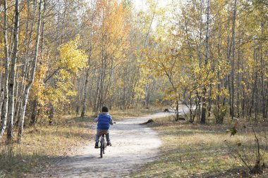 Küçük çocuk sonbahar ormandaki yolda Bisiklete binmek.