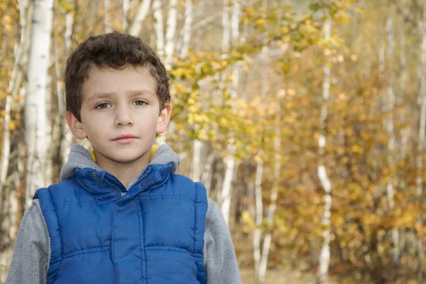 Usměvavý chlapeček v podzimním lese. — Stock fotografie