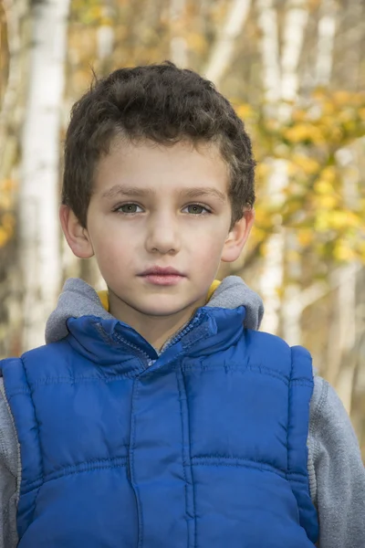 Pequeno menino sério na floresta de outono . — Fotografia de Stock